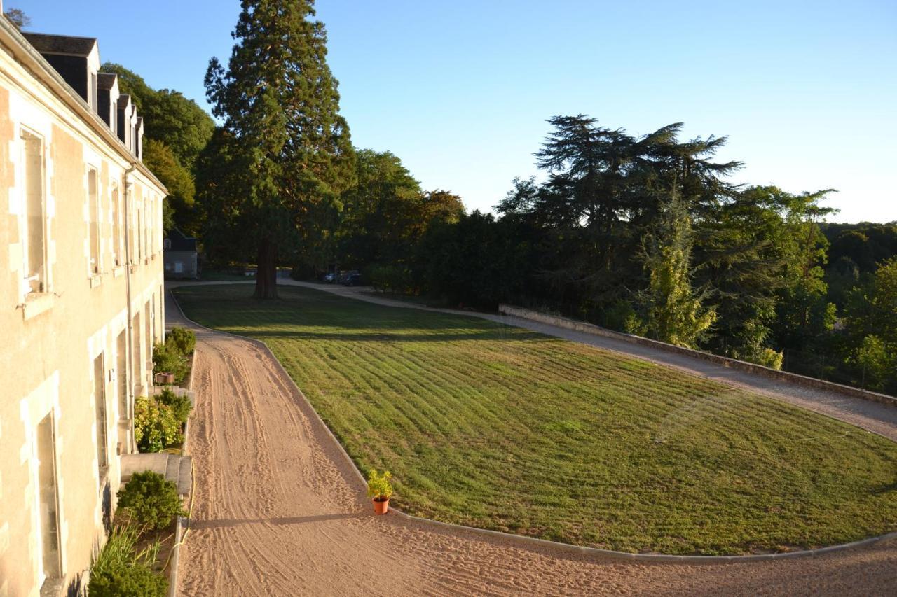 Chateau De Saint Ouen Les Vignes 外观 照片