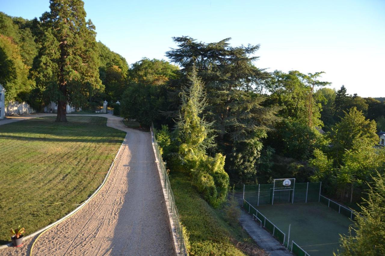 Chateau De Saint Ouen Les Vignes 外观 照片